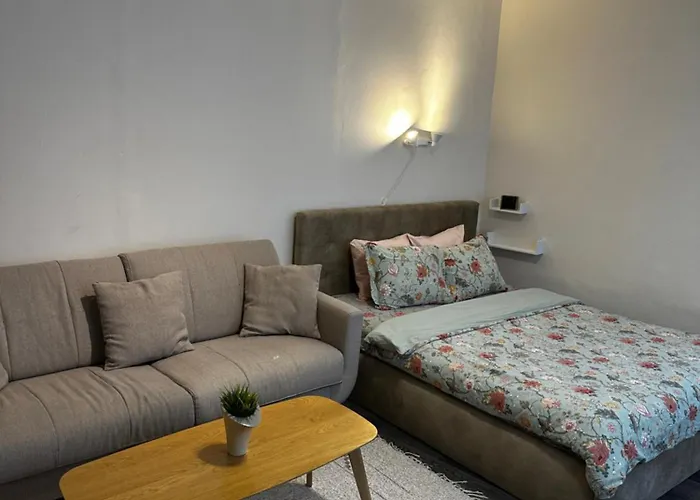 1 Bedroom Apartment Near Kadriorg Swan Pond